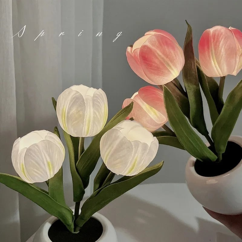 ✨FREESHIPPING🌷LED Night Light – Tulip Design with Vase